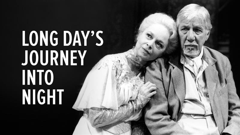 Long Day's Journey into Night (1996)